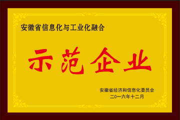 安徽省两化融合示范企业