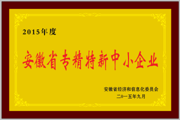 安徽省专精特新中心企业